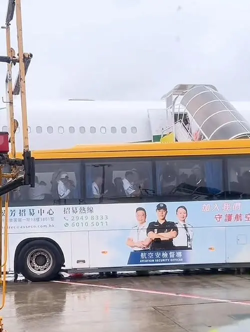 src, 迷的诺言必